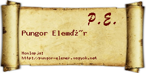 Pungor Elemér névjegykártya