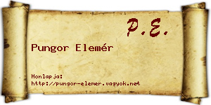 Pungor Elemér névjegykártya